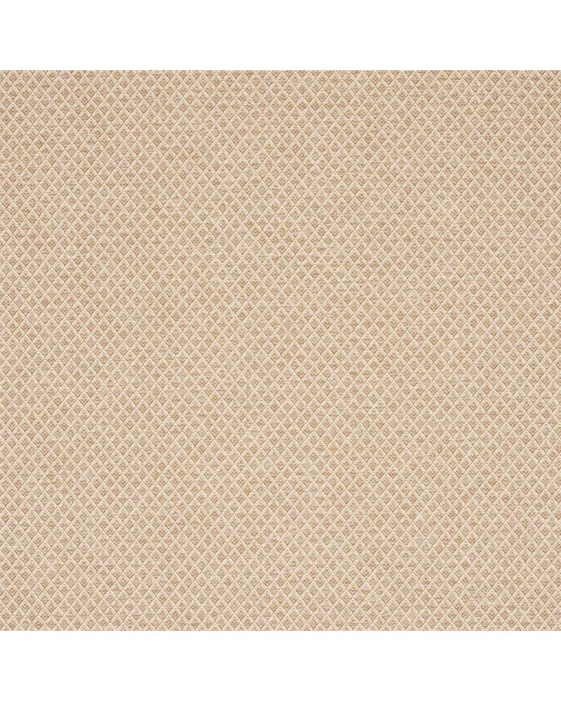 Lyle Straw J0277-02 Lyle Straw J0277-02