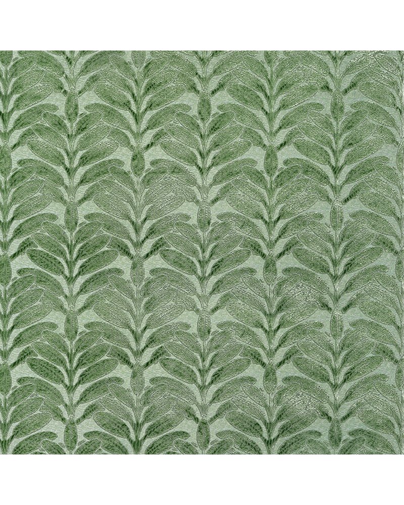 Linden Velvet Juniper AW9204 Linden Velvet Juniper AW9204
