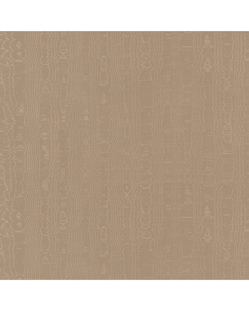 Regia Mushroom AW9223 Regia Mushroom AW9223