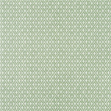 Lindsey Green AT57814