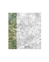 Coari Green 40241
