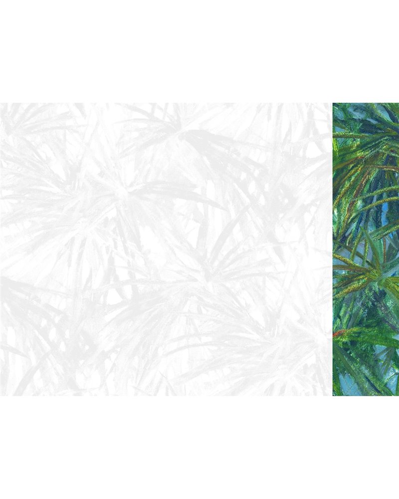 Matira Green 40006 Matira Green 40006