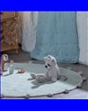 ALFOMBRA ALGODÓN INFANTIL DORMITORIO 150 CM