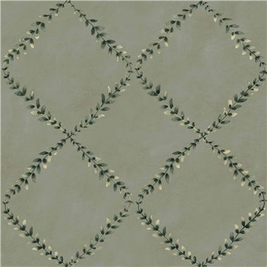 Ivy-Garland Sage YSP0517