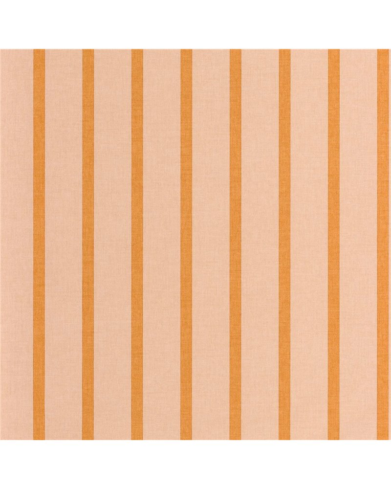 Katy Orange Rose 106493043 Katy Orange Rose 106493043