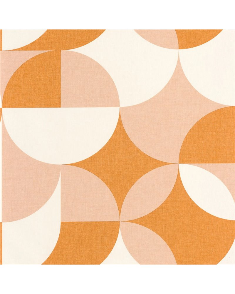 Charly Orange Rose 106443040 Charly Orange Rose 106443040