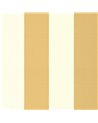 Broad Stripe Yellow-Pink 0231BSYELLO