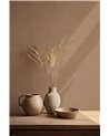 Sastre 25 B00751