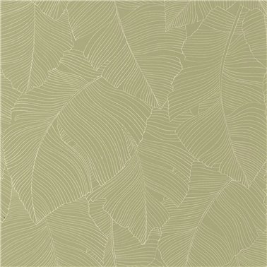 Vegetalia Kaki 106507170