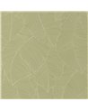 Vegetalia Kaki 106507170