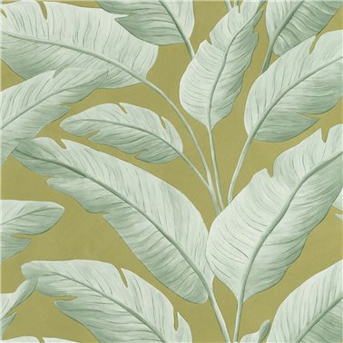 Tropicalia Kaki 106547122