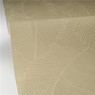Vegetalia Kaki 106507170