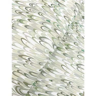 Aslan Green GT4582