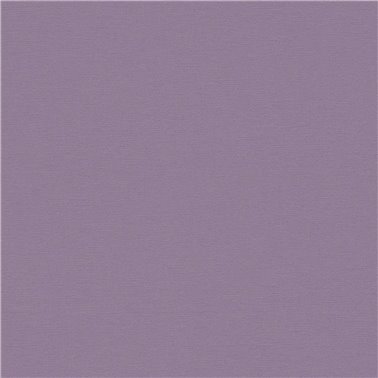 Anna d´Andrea AS389039