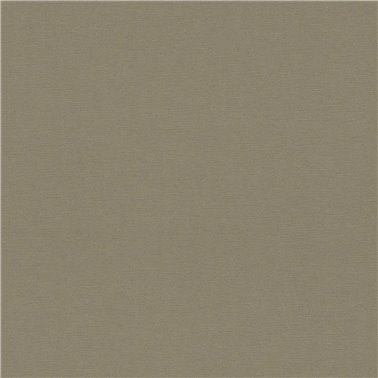 Anna d´Andrea AS390975