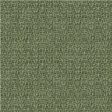 Geometricum Moss B00626