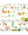Fairytale Forest V360901