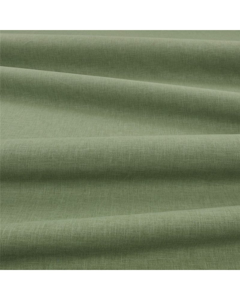 Havana Basil V359538