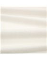 Havana Camelia V359503