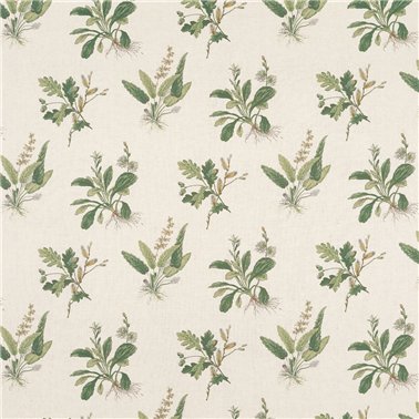 Woodland Green On Natural AF57853