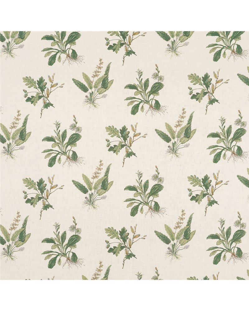 Woodland Green On Natural AF57853 Woodland Green On Natural AF57853