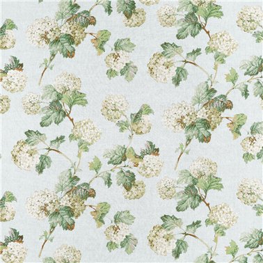 Sussex Hydrangea Soft Blue AF57845