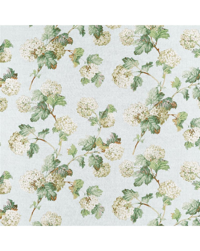 Sussex Hydrangea Soft Blue AF57845 Sussex Hydrangea Soft Blue AF57845