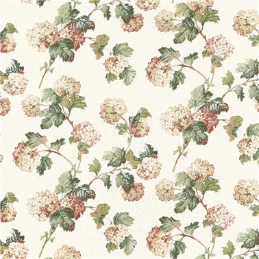 Sussex Hydrangea Soft Gold AF57848
