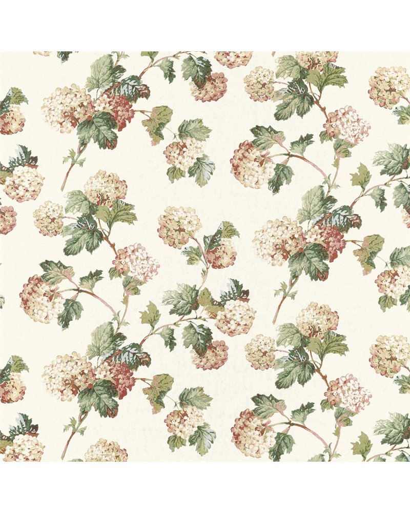 Sussex Hydrangea Soft Gold AF57848