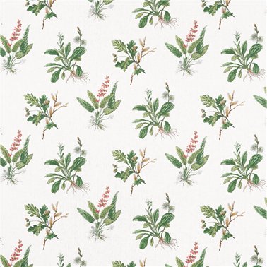 Woodland Green and Blush AF57852