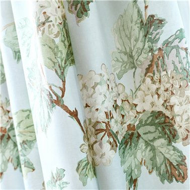 Sussex Hydrangea White and...