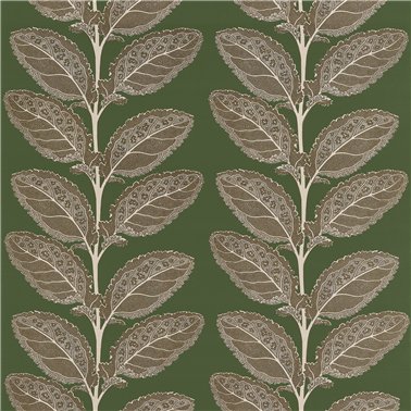 Lacinato Wild Sage F912040