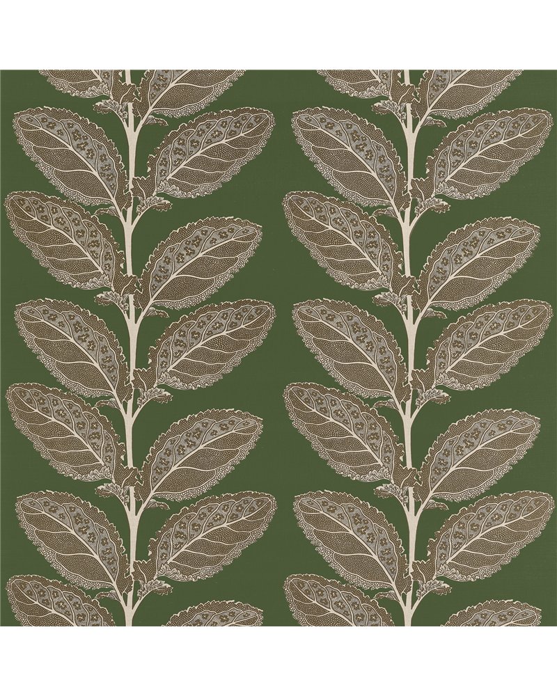 Lacinato Wild Sage F912040 Lacinato Wild Sage F912040