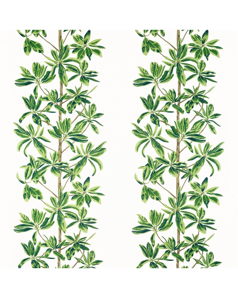Mangrove Tree Green and White F945035 Mangrove Tree Green and White F945035