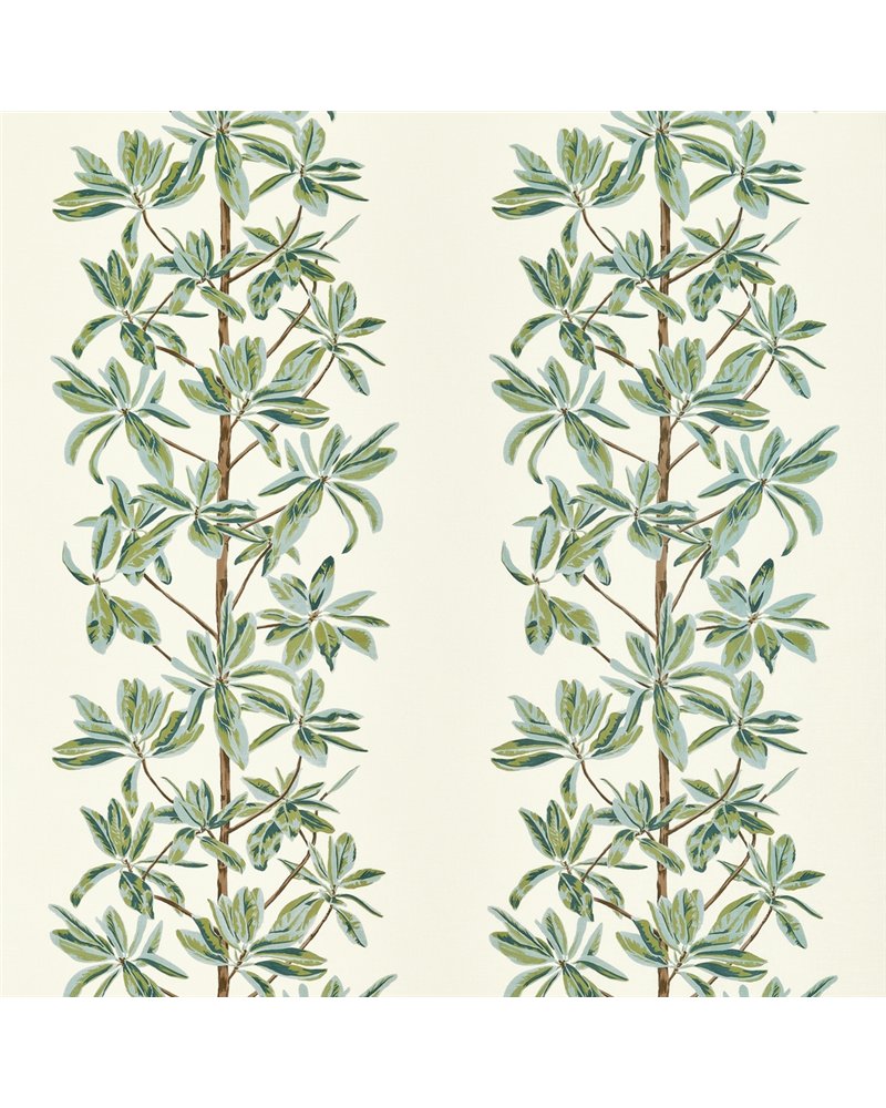 Mangrove Tree Sage F945034 Mangrove Tree Sage F945034