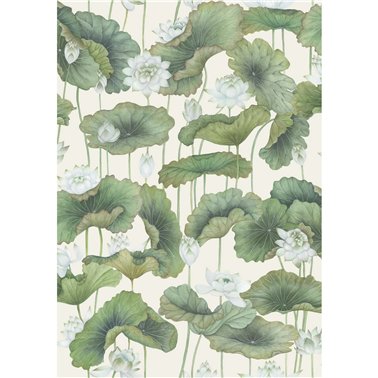 Lity Lotus White On Cream 126-9034