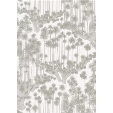 Japanese Woods Ash 126-6020