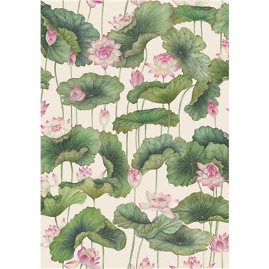 Lity Lotus Pink & White 126-9031
