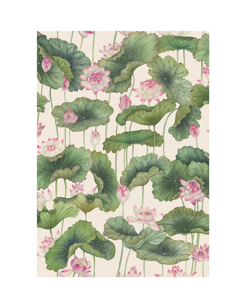 Lity Lotus Pink & White 126-9031 Lity Lotus Pink & White 126-9031