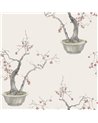 Kaki Persimmon Silver 126-2004