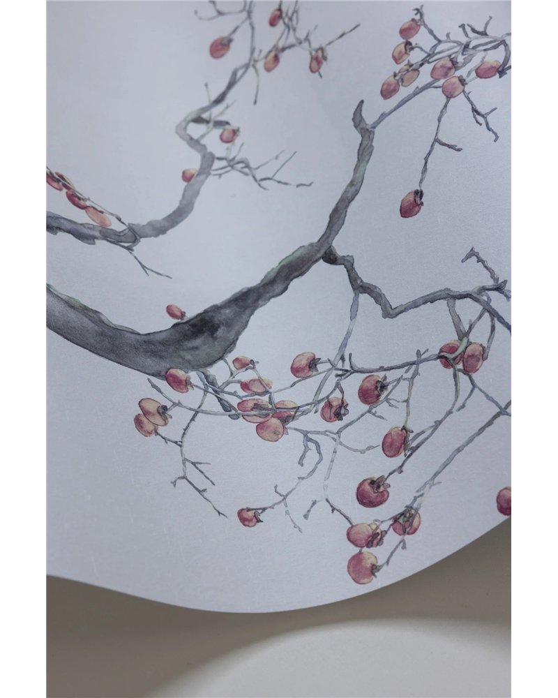 Kaki Persimmon Silver 126-2004