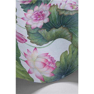Lily Lotus Pink & White...