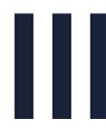 Atlantis Rich Navy SR21702