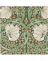 Pimpernel Green 124242