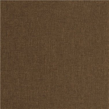 Caractere Cacao 201172727