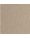 Caractere Taupe 201171505