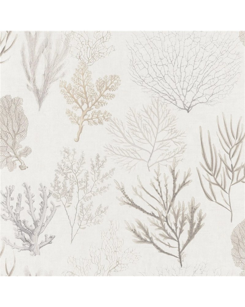 Corail Beige 83971120 Corail Beige 83971120