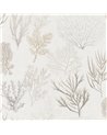 Corail Beige 83971120