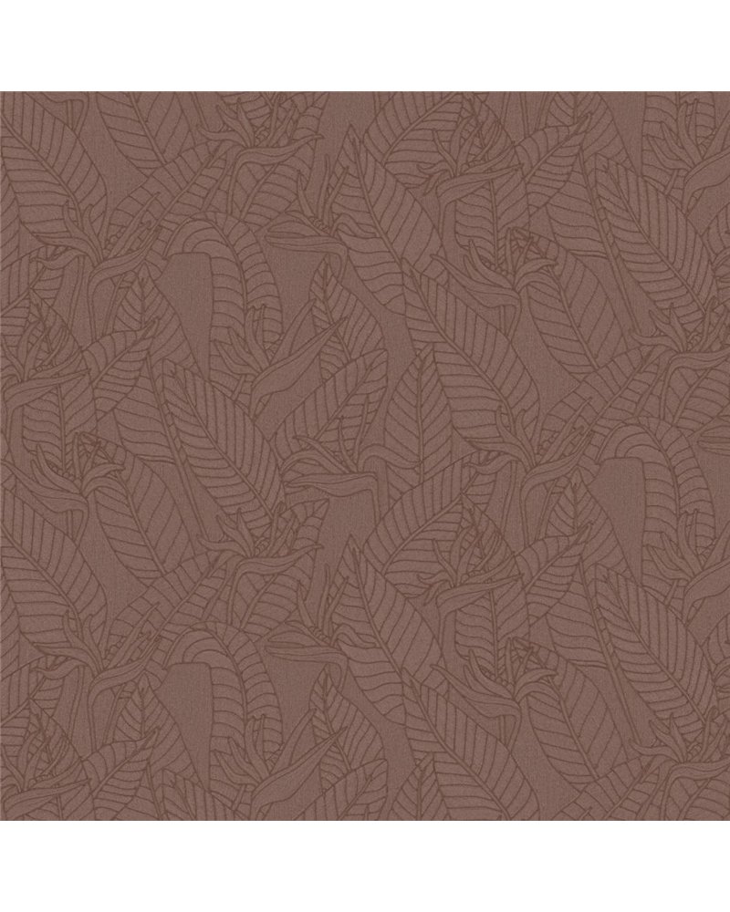 Strelitzia Hickory 60743 Strelitzia Hickory 60743