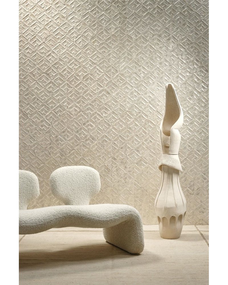 Abalone Coquille 70321